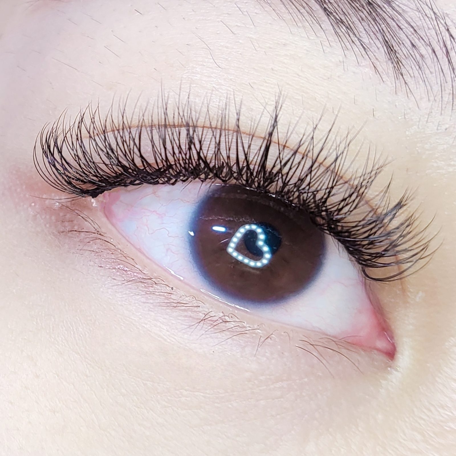 A fuller lash set photographed close up